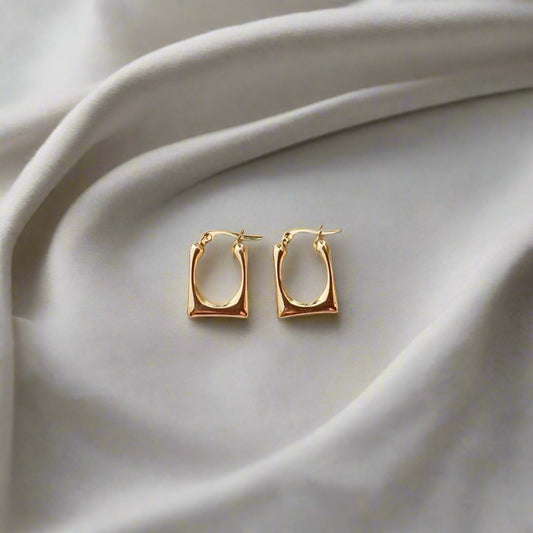 Anti Tarnish Earrings