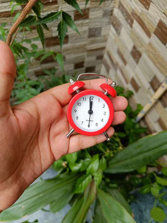 Mini Alarm Clock(1 pcs.)