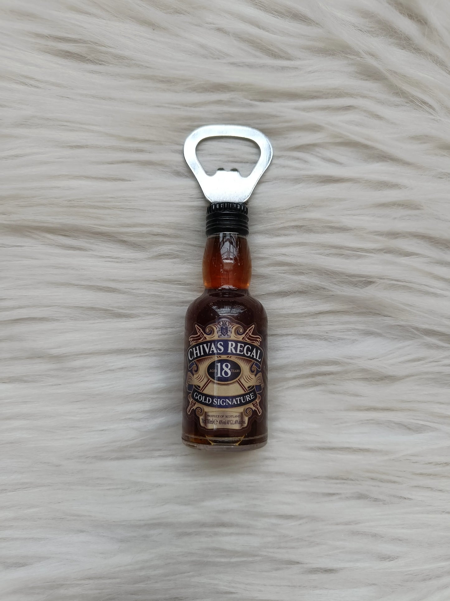 Bottle opener magnet