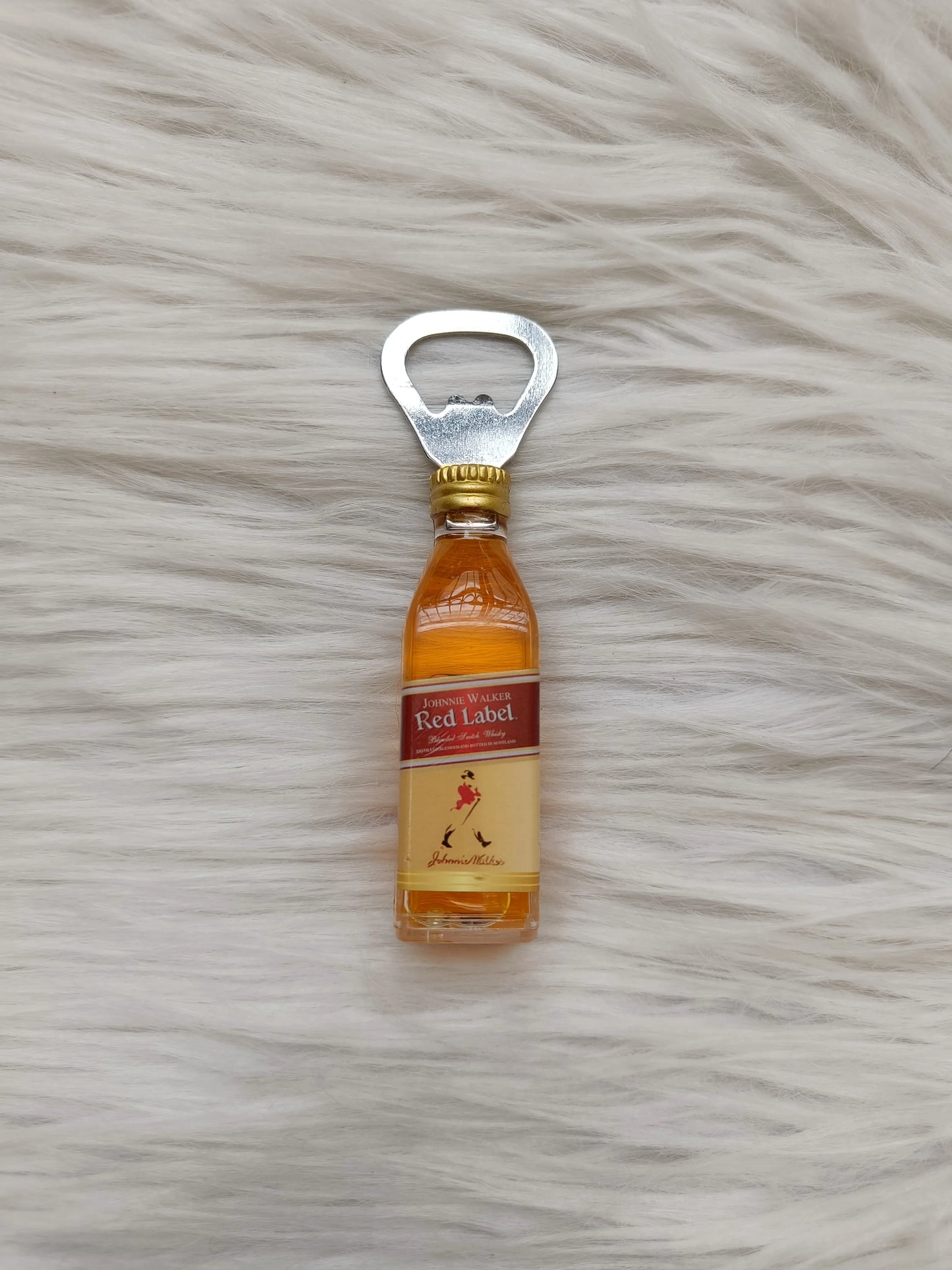 Bottle opener magnet