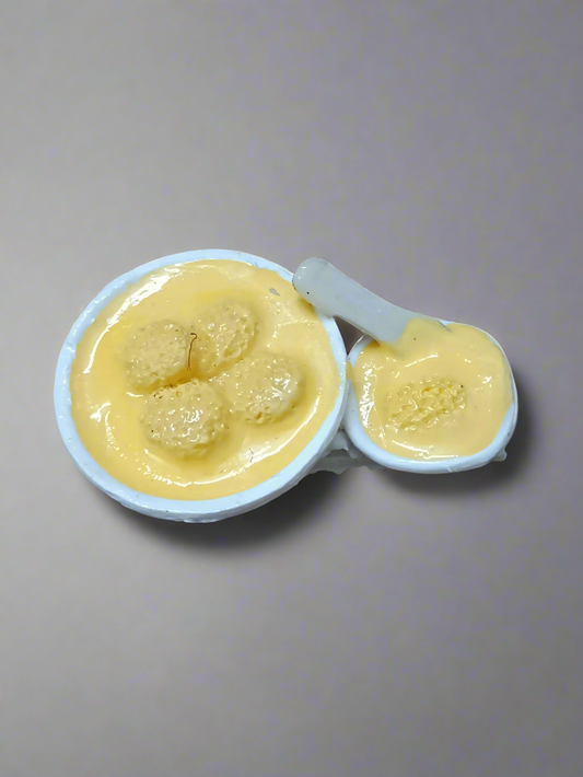 Rasmalai magnet