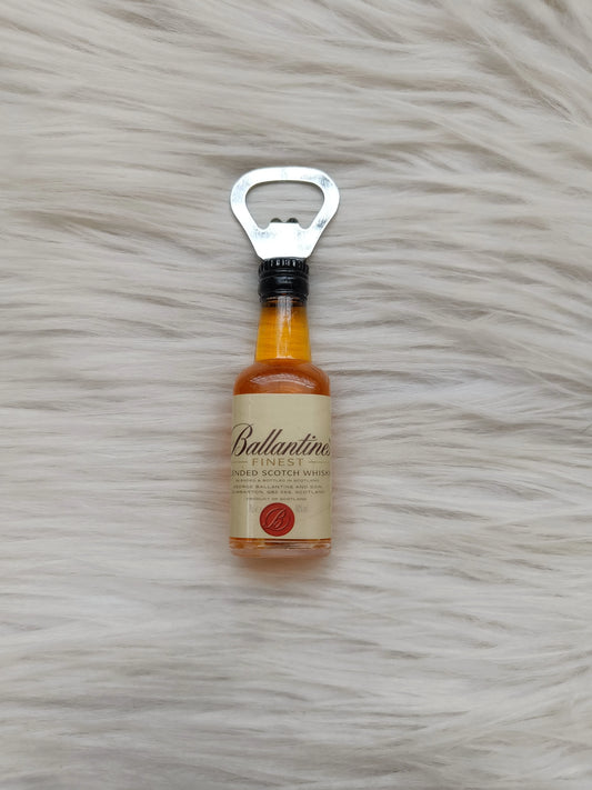 Bottle opener magnet