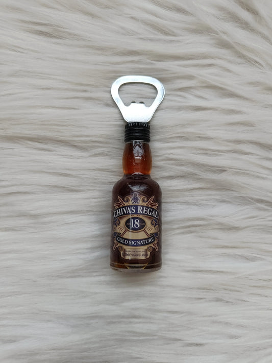 Bottle opener magnet