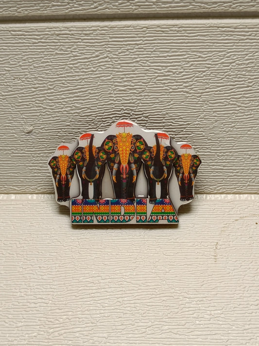 India souvenir magnet