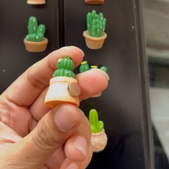 Cactus fridge magnets (set of 4)
