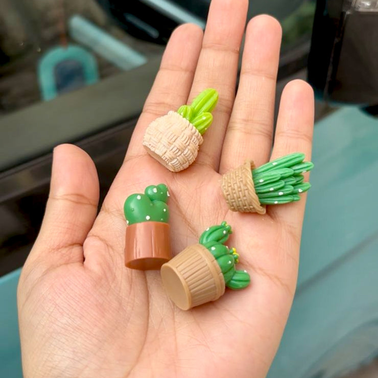 Cactus fridge magnets (set of 4)